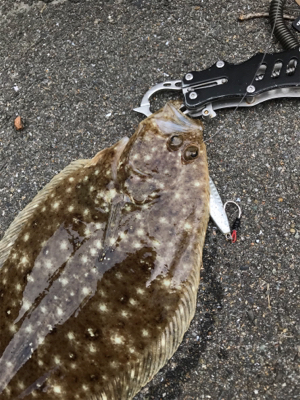 ショアジギングにてまさかの平らいやつ