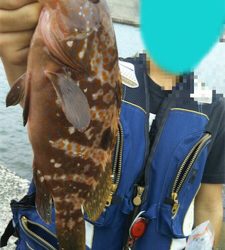 穴釣り&五目釣り