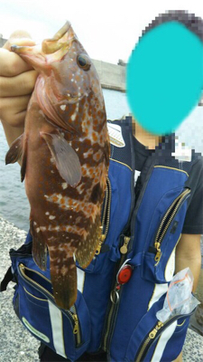 穴釣り&五目釣り