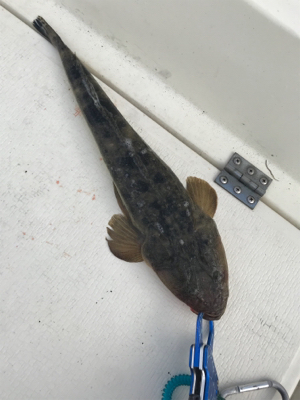 浜名湖ボート爆釣！！