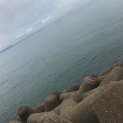 ３戦３勝やけど……