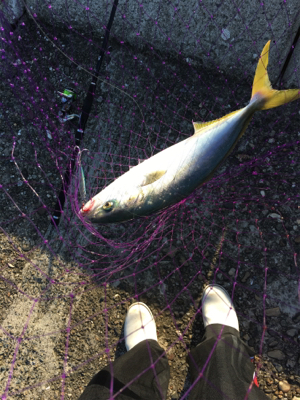 ショアジギ 泳がせまずまず
