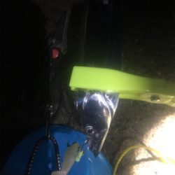 タチウオのちハマチのち‥