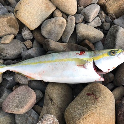 台風前の夕まづめ‼þ…
