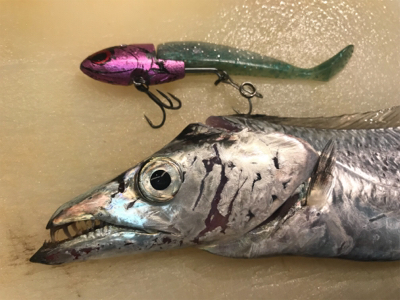 やっと釣れた＿|￣|○