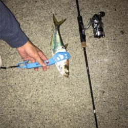 またまたライトゲーム