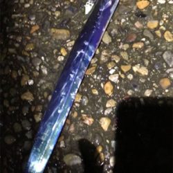 タチウオには…タチウオ！