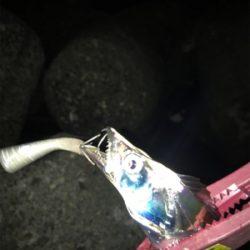 台風前に、行っとこ!