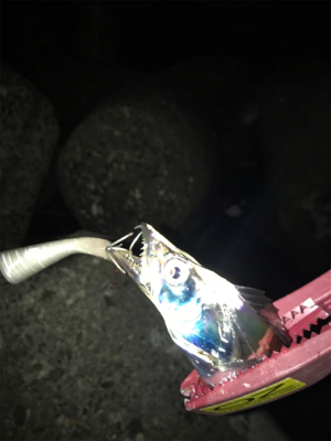 台風前に、行っとこ!