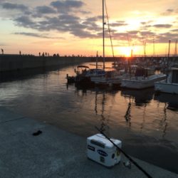 タチウオ こまいが入れ食い