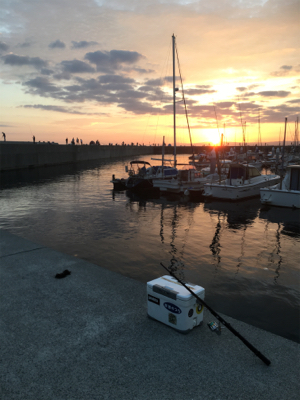 タチウオ こまいが入れ食い