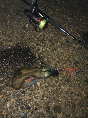 黒井→直江津ハッピー