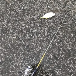 フェリー待ちの暇つぶしに