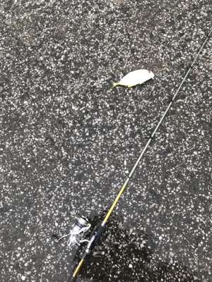 フェリー待ちの暇つぶしに