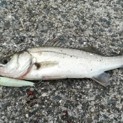 台風前に　その2