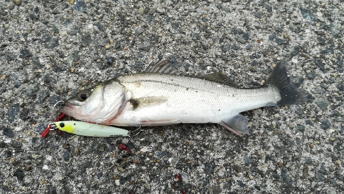 台風前に　その2