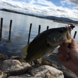 まだまだ暑い！