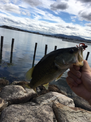 まだまだ暑い！