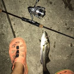 またまた暇つぶしライトゲーム