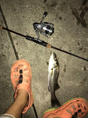 またまた暇つぶしライトゲーム