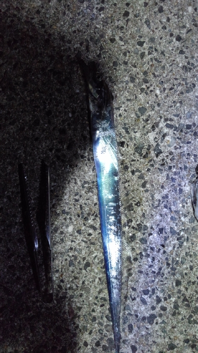 豊浜漁港、中山製鋼所