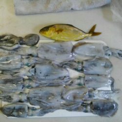 もう少し早かった