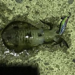 帰りの一時間で！