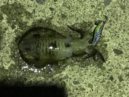 帰りの一時間で！