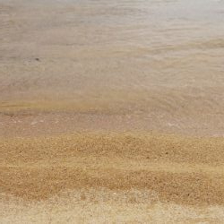 雨の合間の釣行
