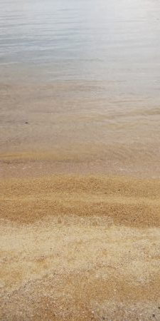 雨の合間の釣行