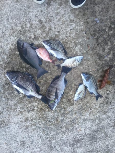 今週も好調！雨上がり６尾ゲット！！