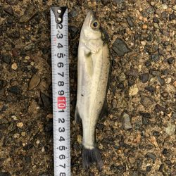 サイズアップできた