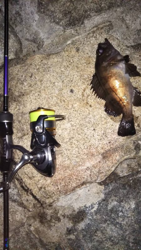 久々のライトゲーム　18:30~20:10…