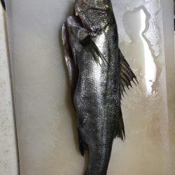 いい場所でした！