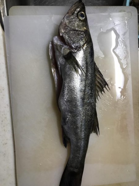 いい場所でした！