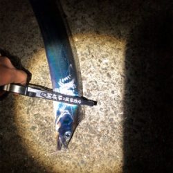 スローワインド!