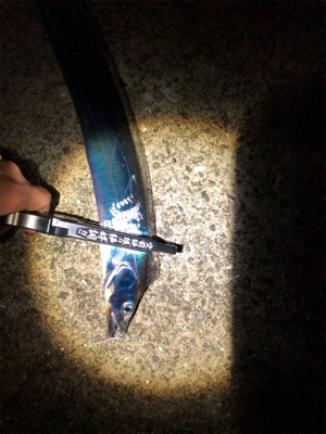 スローワインド!