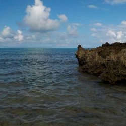 ウェーダーで…