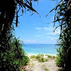 バラシが多く・・・