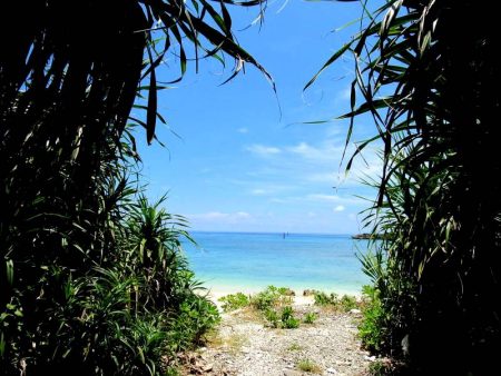 バラシが多く・・・