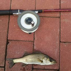 雨の降る前に　～豊洲ぐるり公園～