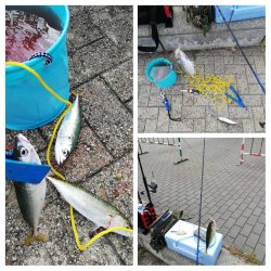 サバゲーム　南港好調