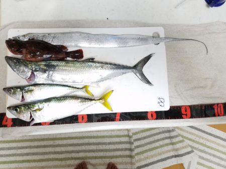 ボチボチな釣果