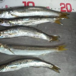 台風の次は 大雨・・・その翌日は?