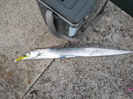 神戸タチチャレ参加