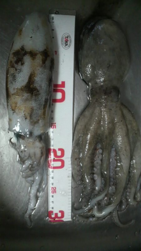 腕おちた・・・