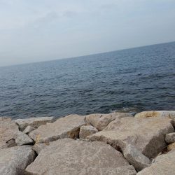 ボチボチな釣果