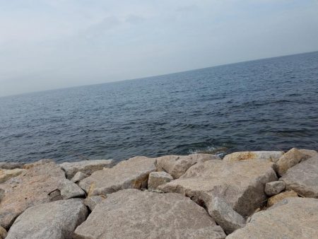 ボチボチな釣果