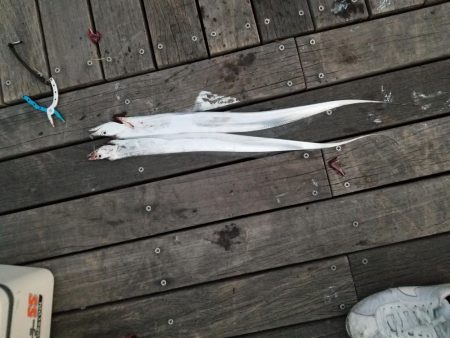 気軽にワインド