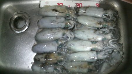 八つ・九つ・十 つ抜けできました。